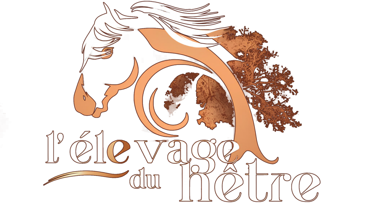 Logo elevage du hetre 2